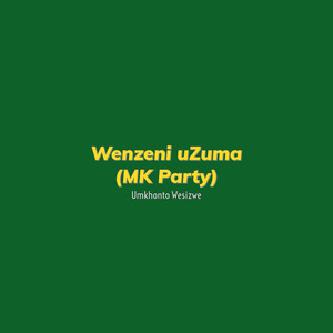 Wenzeni Uzuma (Mk Party)