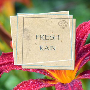 Rainwater