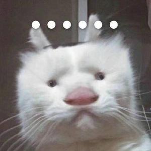 WeChat_20220417200947 [7.1 立体声]