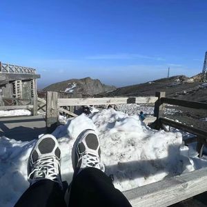 鸽子_南_音频编辑