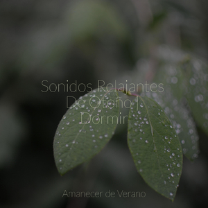 Ecos de Eternos Vagabundeos