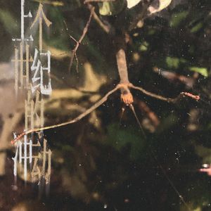 上个世纪的冲动