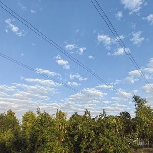 情深似海爱思-整曲