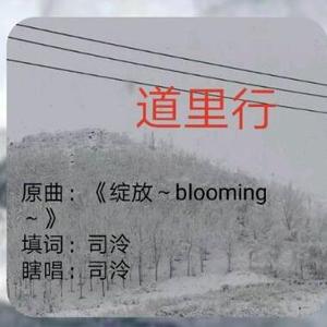 五声皆残何来调式-道里行（司泠 remix）