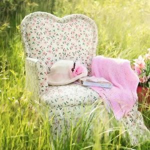 草丛中的沙发 (5)