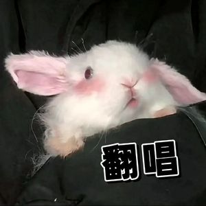 April Encounter（温柔治愈版）