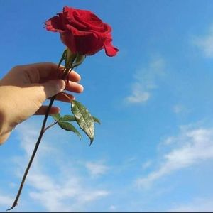 Xastamanu/变速变调