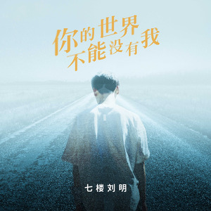 你的世界不能没有我