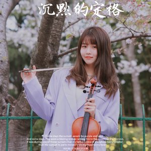 没有母带混音op2