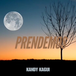 Prendemos