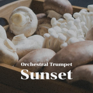 When The Swallows Come Back To Capistrano