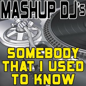 Somebody That I Used to Know (Instrumental Mix) [Re-Mix Tool]