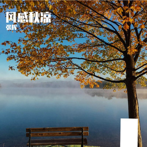 风感秋凉