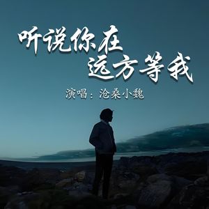 听说你在远方等我