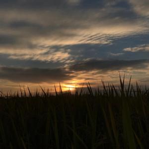 期待（Prod.＜3Beatz）