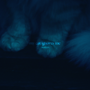 my cat ignores me