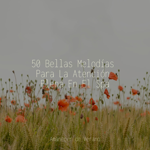 Tenacidad Desenfrenada