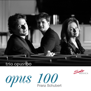 Piano Trio No. 2 in E-Flat Major, Op. 100, D. 929:II. Andante con moto