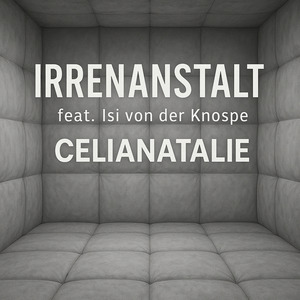 Irrenanstalt