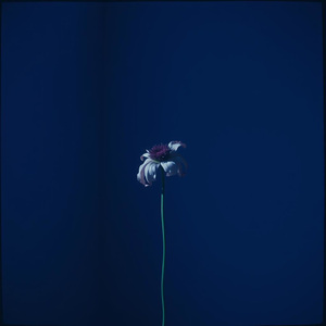 Cuando Quise Cambiar