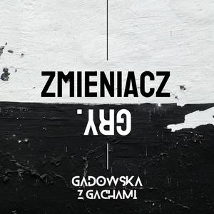 Zmieniacz gry