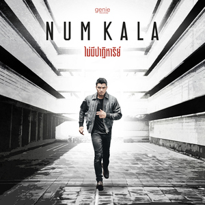 ไม่มีปาฎิหาริย์