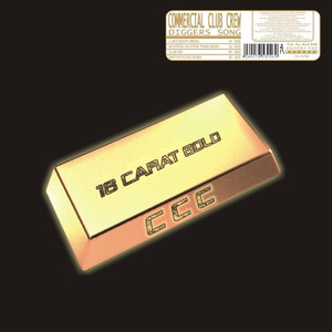 Diggers Song (The 2 Jays Booty Radio Edit)