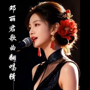 山茶花(翻唱版)