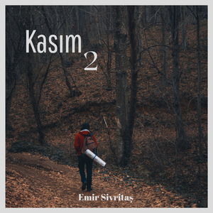 Kasım 2