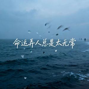 命运弄人总是太无常