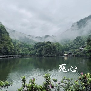 希望你下次哭是因为幸福