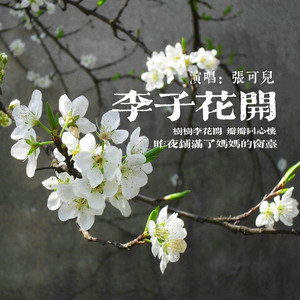 李子花开