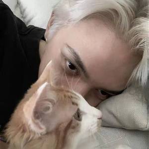 这只伶俐的棕色狐狸跳过一只懒惰的狗