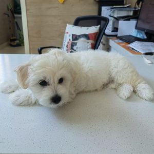 强大的心脏(祝宁单人线)