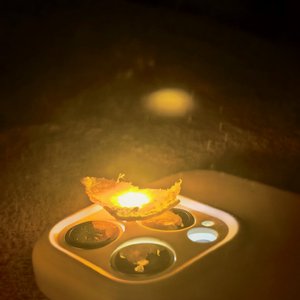 眼高手低的错失