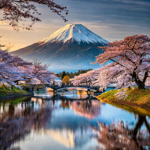 Fireflies of a Summer Night