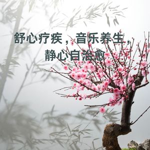 轻松养生，音乐理疗舒心解压
