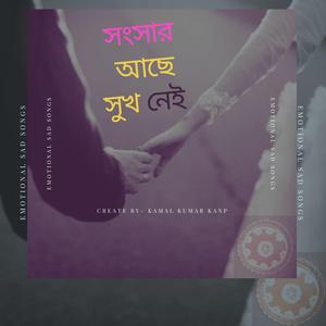 সংসার আছে সুখ নেই