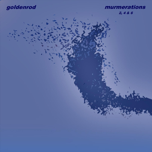Murmeration 4
