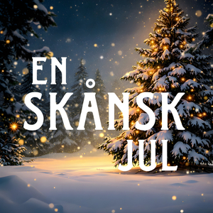 Decembernatt (Hallelujah)