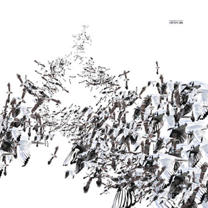 Raw Track (Shout Mix)