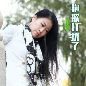 抱歉打扰了 (DJ版)