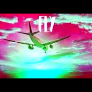 Fly Remix
