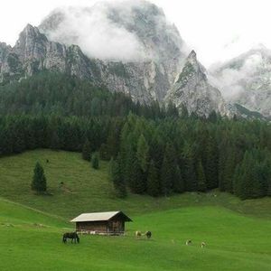 【FREE】“ 昭南 ” - 中国风 × CashTrippy Chinese Type Beat