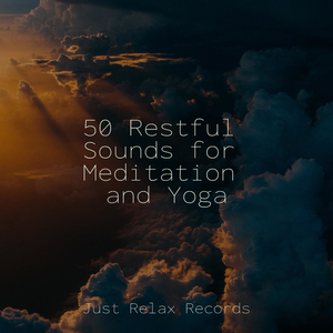 Tranquil Mirror's Embrace