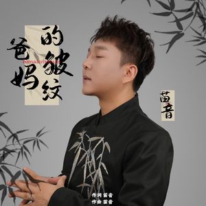 爸妈的皱纹(唢呐版) 伴奏