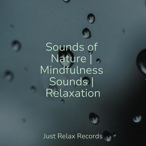 Drifting Sands of Peace