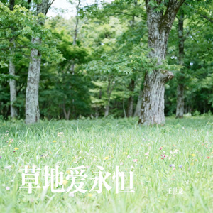 草地爱永恒