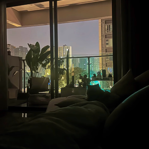 没有哪一朵花一开始就是花