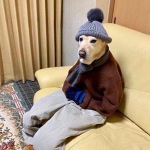 if you got it (feat. Diaire)